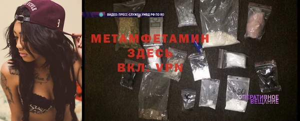 прущие грибы Инсар