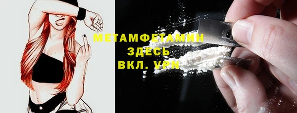 прущие грибы Инсар