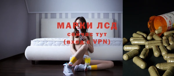 прущие грибы Инсар