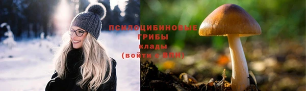 прущие грибы Инсар