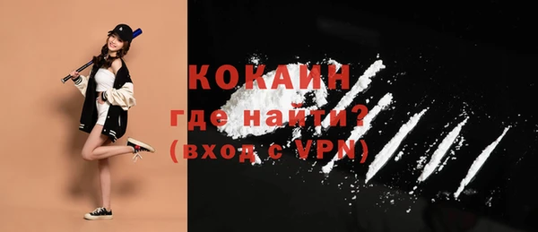 прущие грибы Инсар