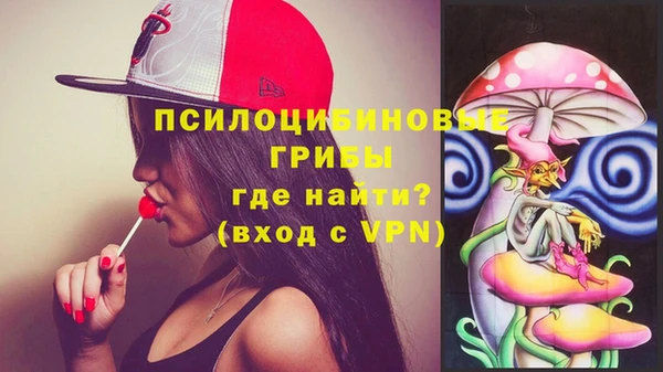 прущие грибы Инсар