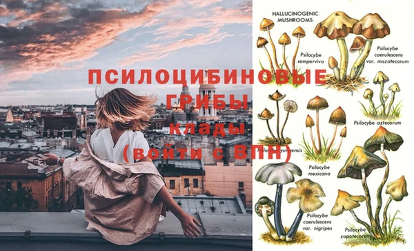 хмурый Иннополис