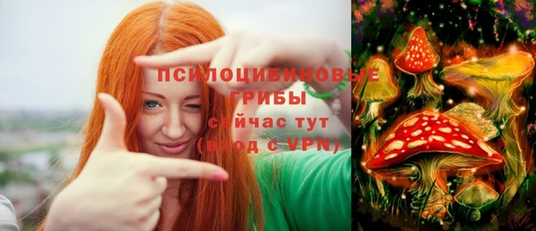мдпв Дедовск