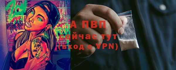 прущие грибы Инсар