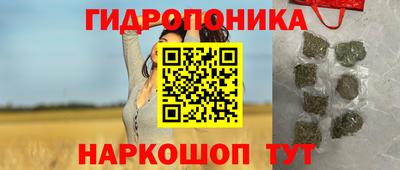 крисы Волжский