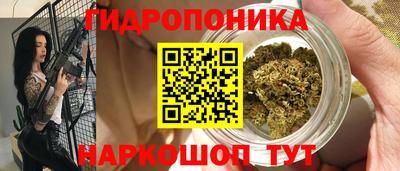 крисы Волжский