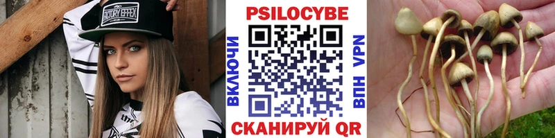 где продают наркотики  Кандалакша  Псилоцибиновые грибы ЛСД 