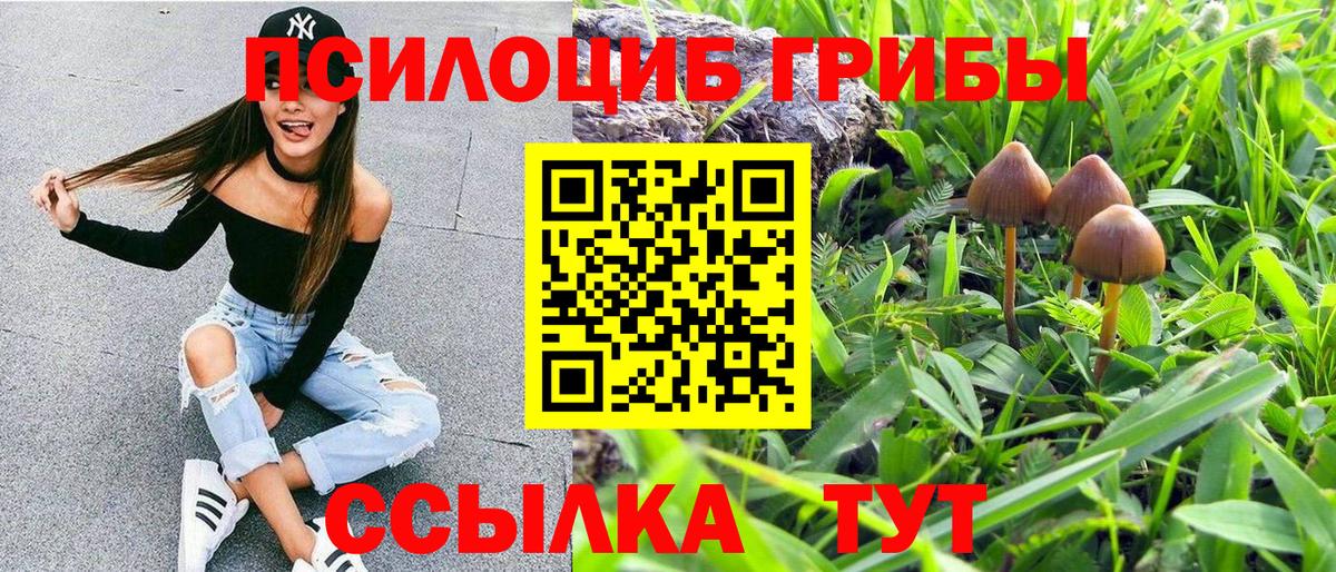 Галлюциногенные грибы Psilocybine cubensis  Вход с VPN  цены   Кандалакша 