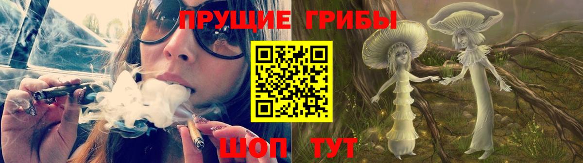 Галлюциногенные грибы прущие грибы Кандалакша